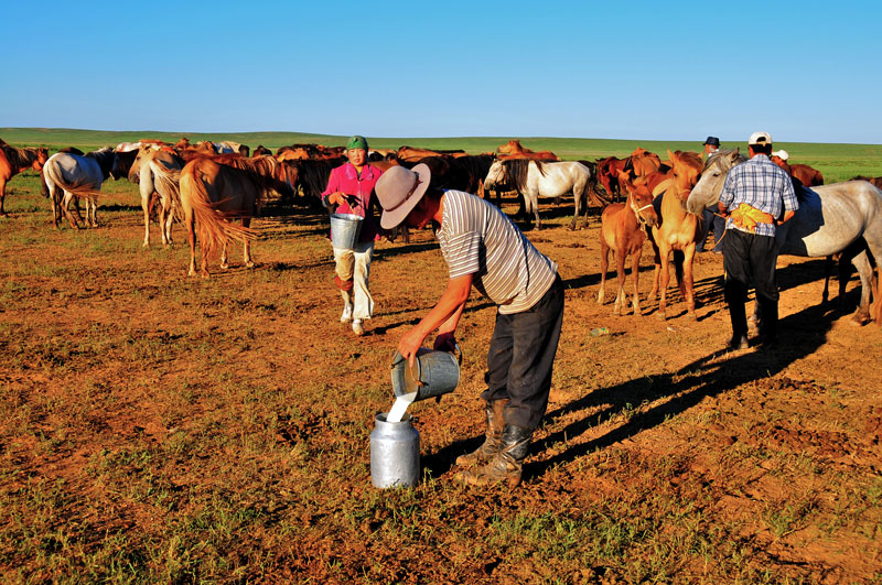 Mongolie
